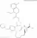 Fig. 167 - MACROCYCLIC COMPOUNDS AS INHIBITORS OF VIRAL REPLICATION