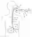 Fig. 01 - Detachable distal overtube section and methods for forming a sealable opening in the wall of an organ