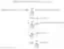 Fig. 02 - Self-compacting pattern indexer: storing, indexing and accessing information in a graph-like data structure
