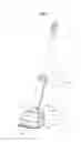 Fig. 02 - STEAM VACUUM CLEANER