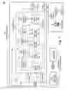 Fig. 02 - Identifying duplicate printed paper cash letters