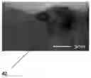Fig. 01 - Tensile strained GE for electronic and optoelectronic applications