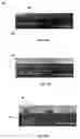 Fig. 12 - Tensile strained GE for electronic and optoelectronic applications