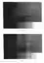 Fig. 08 - Video compression system