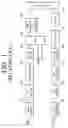 Fig. 02 - Digital broadcasting transmission capable of improving receiving and equalizing performance and signal processing method thereof