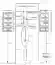 Fig. 01 - Multiple image collection and synthesis for personnel screening