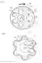 Fig. 02 - Oil pump rotor