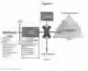 Fig. 02 - METHODS AND MATERIALS FOR TREATING OR PREVENTING DISEASES/DISORDERS MEDIATED BY ALCOHOL DEHYDROGENASE