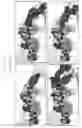 Fig. 23 - Disulfide trap MHC class I molecules and uses therefor