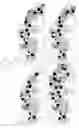Fig. 25 - Disulfide trap MHC class I molecules and uses therefor