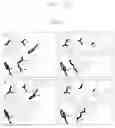 Fig. 31 - Disulfide trap MHC class I molecules and uses therefor