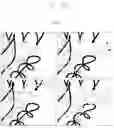 Fig. 32 - Disulfide trap MHC class I molecules and uses therefor