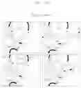 Fig. 33 - Disulfide trap MHC class I molecules and uses therefor