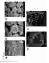 Fig. 09 - Positive electrode active material for non-aqueous electrolyte secondary battery and non-aqueous electrolyte secondary battery including the same