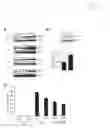 Fig. 02 - METHODS AND COMPOSITIONS FOR INDUCING SIRTUINS