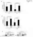 Fig. 03 - METHODS AND COMPOSITIONS FOR INDUCING SIRTUINS