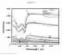 Fig. 09 - Measuring Nanoparticle Concentrations in Tissue Using Diffuse Optical Spectroscopy