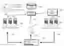 Fig. 01 - Time-based casino gaming using cumulative paytables