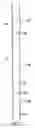 Fig. 08 - Shaft Structure with Configurable Bending Profile