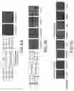 Fig. 06 - ASSAY FOR DETECTING NUCLEOTIDE SEQUENCES IN GENETICALLY MODIFIED CROPS AND PLANTS USING OPTICAL THIN-FILM BIOSENSOR CHIPS
