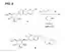 Fig. 07 - Benzylbenzene derivatives and methods of use