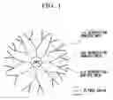 Fig. 02 - Star polymer and method of producing the same