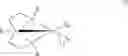 Fig. 25 - Method of producing polymer using iron complex as catalyst