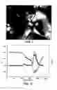 Fig. 02 - Wholly aromatic liquid crystalline polyetherimide (LC-PEI) resins