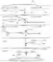 Fig. 01 - High throughput genome sequencing on DNA arrays