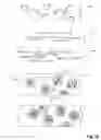 Fig. 06 - High throughput genome sequencing on DNA arrays