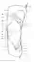 Fig. 01 - Orthopedic device having anteroposterior articulation