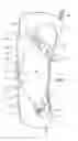 Fig. 09 - Orthopedic device having anteroposterior articulation