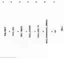 Fig. 02 - Process for detecting a phenomenon limiting the visibility for a motor vehicle