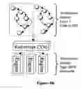 Fig. 04 - Method of Designing, Modelling or Fabricating a Communications Baseband Stack