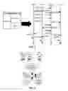 Fig. 02 - CACHE MANAGEMENT FOR PARALLEL ASYNCHRONOUS REQUESTS IN A CONTENT DELIVERY SYSTEM