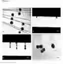 Fig. 02 - Cell nuclear transfer