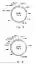 Fig. 04 - Delta-9-elongases and their use in making polyunsaturated fatty acids