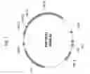 Fig. 08 - PLANTS HAVING ALTERED AGRONOMIC CHARACTERISTICS UNDER NITROGEN LIMITING CONDITIONS AND RELATED CONSTRUCTS AND METHODS INVOLVING GENES ENCODING LNT2 POLYPEPTIDES AND HOMOLOGS THEREOF