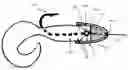 Fig. 01 - FISHING LURE HEAD