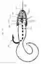 Fig. 06 - FISHING LURE HEAD