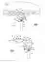 Fig. 04 - Turbine engine frame having an actuated equilibrating case