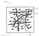 Fig. 01 - Blended mulch product and method of making same