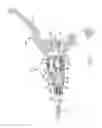 Fig. 04 - Hydraulic brake lever