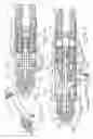 Fig. 02 - Air atomizing spray nozzle with magnetically actuated shutoff valve
