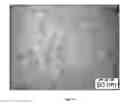 Fig. 02 - SYNTHESIS OF BIO-FUNCTIONALIZED RARE EARTH DOPED UPCONVERTING NANOPHOSPHORS
