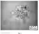 Fig. 04 - SYNTHESIS OF BIO-FUNCTIONALIZED RARE EARTH DOPED UPCONVERTING NANOPHOSPHORS