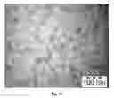 Fig. 12 - SYNTHESIS OF BIO-FUNCTIONALIZED RARE EARTH DOPED UPCONVERTING NANOPHOSPHORS