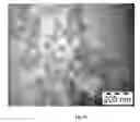 Fig. 13 - SYNTHESIS OF BIO-FUNCTIONALIZED RARE EARTH DOPED UPCONVERTING NANOPHOSPHORS