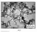 Fig. 14 - SYNTHESIS OF BIO-FUNCTIONALIZED RARE EARTH DOPED UPCONVERTING NANOPHOSPHORS