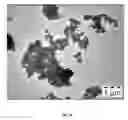 Fig. 15 - SYNTHESIS OF BIO-FUNCTIONALIZED RARE EARTH DOPED UPCONVERTING NANOPHOSPHORS